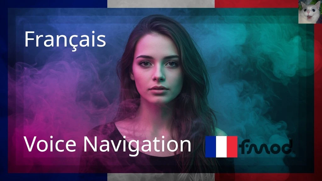 French Voice Navigation