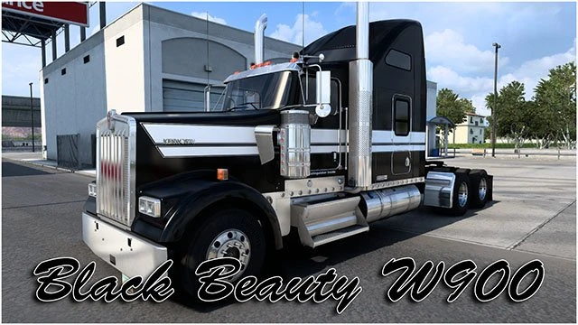 Black Beauty W900