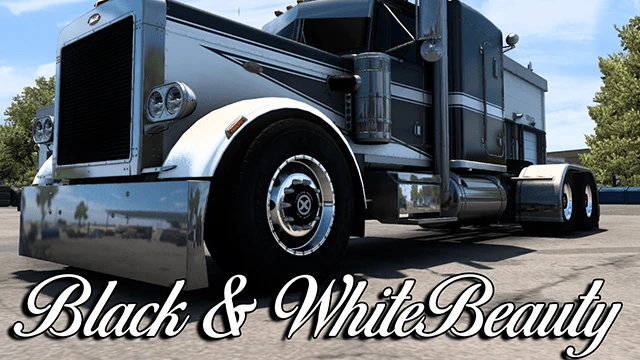 Black & White Beauty 359