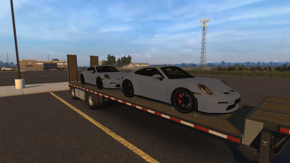 Cargo Porsche V 1.0      V.147