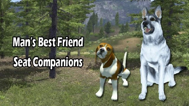 Man's Best Friend