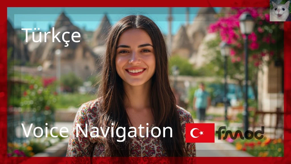 Turkish Voice Navigation